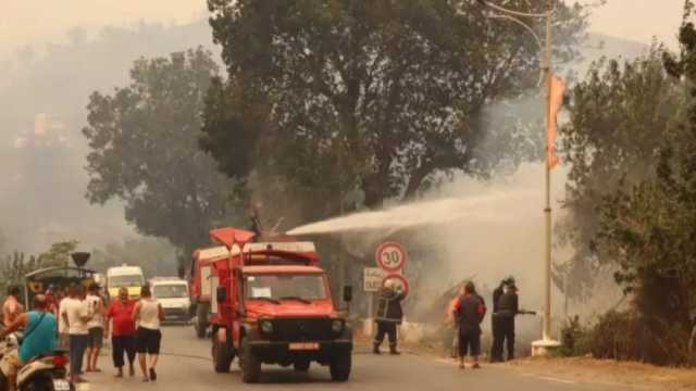 الحماية المدنية بالجزائر تخمد 3 حرائق متفرقة اندلعت في الغابات