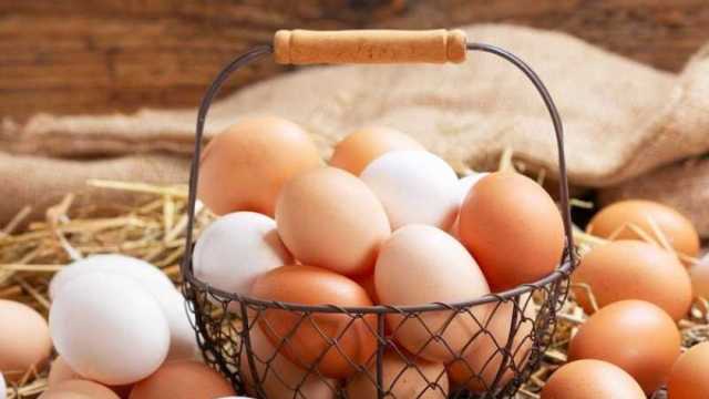 تراجع أسعار البيض البلدي في الأسواق اليوم الخميس 7-12-2023