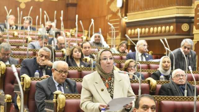 حياة خطاب: القمة المصرية الأوروبية تؤكد دور مصر الريادي ومكانتها عالميا