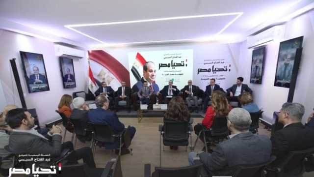 حملة المرشح الرئاسي عبدالفتاح السيسي تستقبل وفدا من المثقفين والكتاب والفنانين
