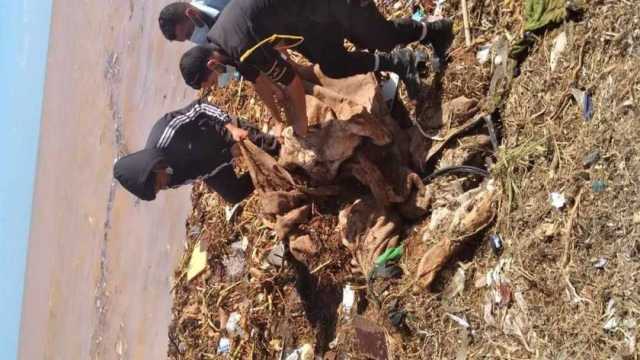 إعصار دانيال.. جثث الضحايا تنشر رائحة الموت وأزمة بسبب أكياس الدفن في ليبيا