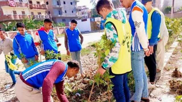 25 شابا متطوعا يزرعون الأشجار المثمرة ضمن مبادرة للحفاظ على البيئة في كفر الشيخ