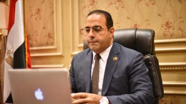 «شباب المصريين بالخارج»: الاتحاد في حالة انعقاد دائم لحين انتهاء انتخابات الرئاسة