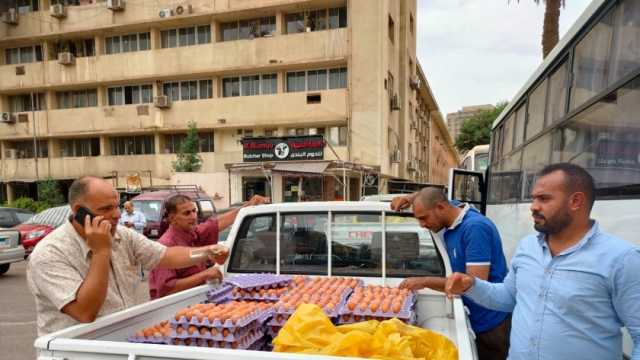 «الزراعة» تطلق 10 منافذ متحركة لبيع بيض المائدة بـ110 جنيهات للكرتونة