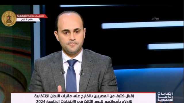 محمود سلامة: مشاركة المصريين بالخارج في الانتخابات تجاوزت السنوات الماضية