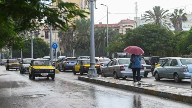«الأرصاد الجوية» تحدد موعد سقوط أمطار على الإسكندرية بنسبة 30%