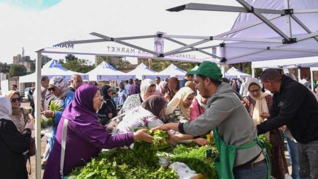 أماكن أسواق اليوم الواحد في محافظة الإسكندرية.. توسع مرتقب