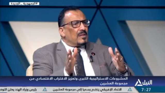 خبير اقتصاد: قمة العشرين فرصة لعرض تجربة مصر التنموية والمشروعات الاستراتيجية