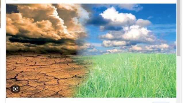 «الزراعة»: المحاصيل الشتوية تتأثر سلبا بانخفاض الحرارة (فيديو)