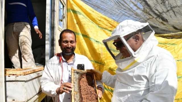 محافظ قنا يشهد إنتاج أول قطفة عسل نحل «شمر» ضمن مشروعات الأمن الغذائي