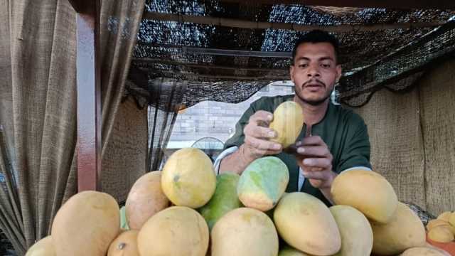 أسعار المانجو في سوق العبور اليوم السبت.. عويس تبدأ من 25 جنيها