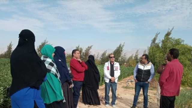 «زراعة شمال سيناء» تنظم برنامجا تدريبيا لزيادة إنتاج المحاصيل والدواجن