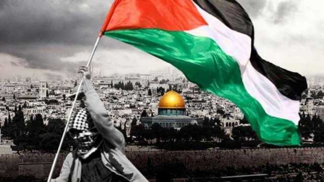 منظمة التعاون الإسلامي تدعم فلسطين من خلال بث مباشر مشترك اليوم