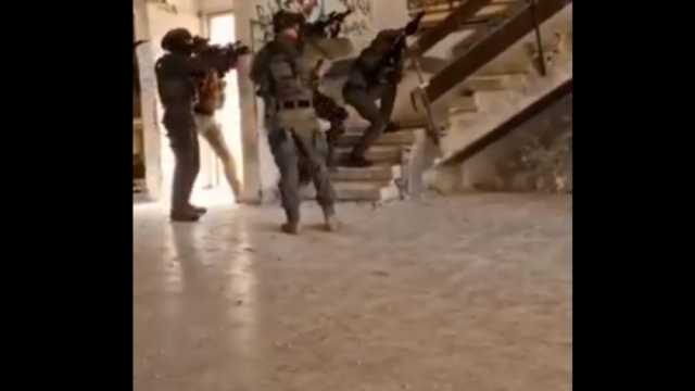 «فأر» بأحد منازل غزة يتسبب في هلع وخوف الجنود الإسرائيليين (فيديو)