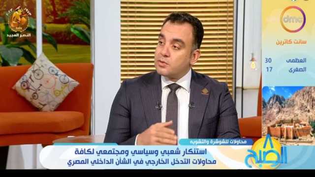 عضو بـ«الشيوخ»: الشعب المصري يرفض تدخل البرلمان الأوروبي في شؤون الدولة