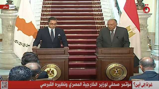 وزير الخارجية القبرصي: مواقف مصر في المحافل الدولية ثابتة