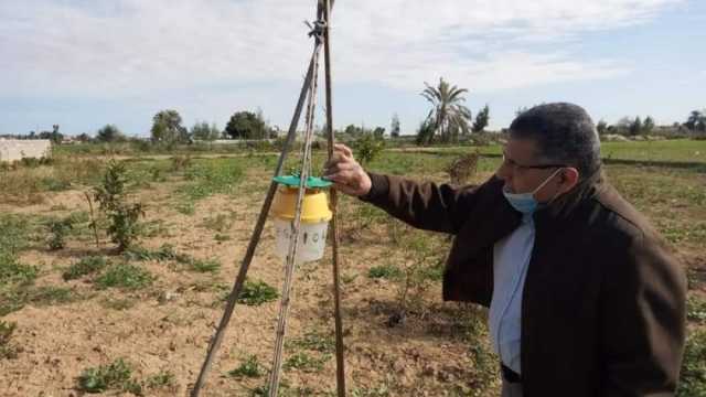 «الزراعة» تصدر أحدث التوصيات لمكافحة دودة الحشد للحفاظ على محصول الذرة