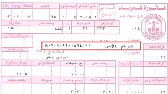 برقم العداد.. طريقة الاستعلام عن قيمة فاتورة الكهرباء لشهر أكتوبر 2024