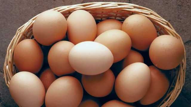 أسعار البيض اليوم الخميس 4-7-2024 في المزارع والمحلات