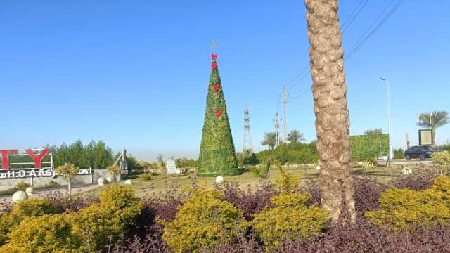 «الصعايدة» يصممون أكبر شجرة كريسماس في قنا.. أصبحت مزارا للمواطنين