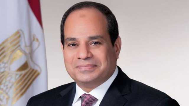 حملة المرشح الرئاسي عبد الفتاح السيسي تبرز كلمة الرئيس حول أهمية وحدة المصريين