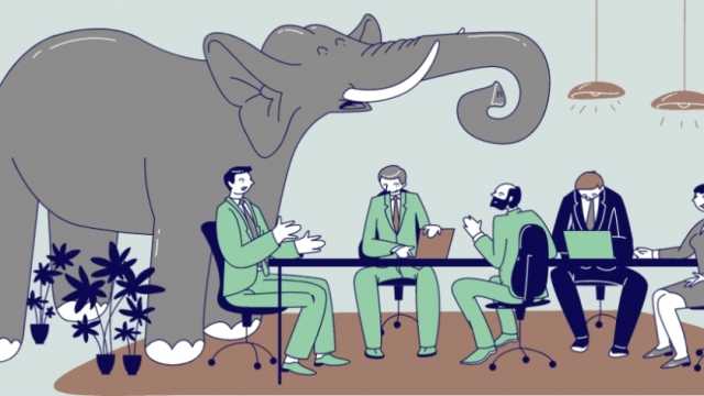 ترجمة جملة the elephant in the room.. يبحث عنها طلاب الثانوية العامة 2024