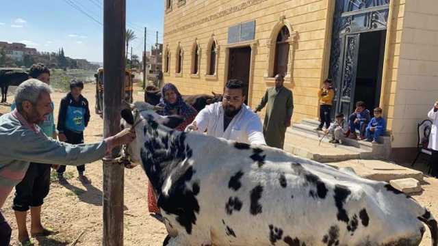 «بيطري الشرقية» يجري تلقيح اصطناعي على ألف رأس ماشية