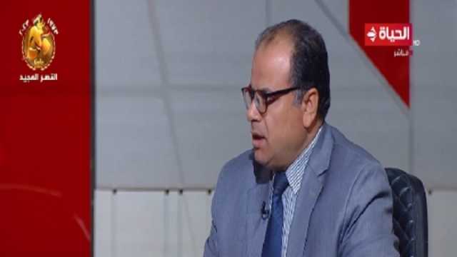خبير استراتيجي: المشروع المصري يحتاج إلى الأمن والاستقرار