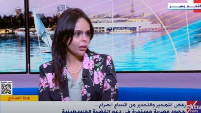 «المصري للفكر»: مجلس الأمن عاجز عن إصدار قرار يلزم إسرائيل بالانسحاب من غزة