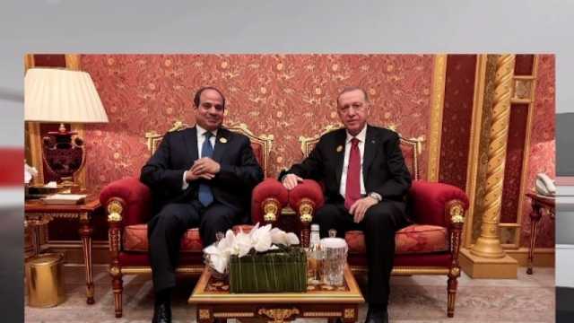 عقد قمة مصرية تركية على هامش القمة العربية الإسلامية
