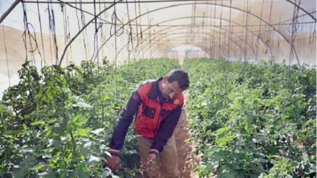 مشايخ القبائل: لن نفرط في شبر من أرضنا ونرفض تهجير الفلسطينيين لسيناء.. ونشكر الرئيس السيسي على التنمية