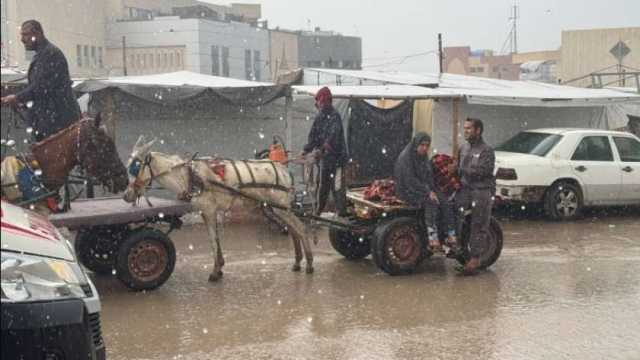 شتاء قاسٍ وحرب مستمرة.. معاناة الفلسطينيين بين الجوع والقصف