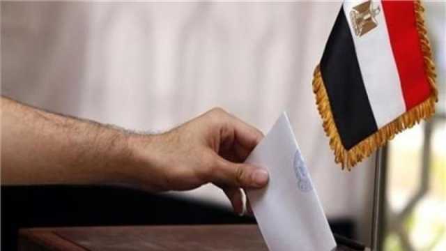 المصريون في كوريا واليابان يبدأون التصويت في الانتخابات الرئاسية