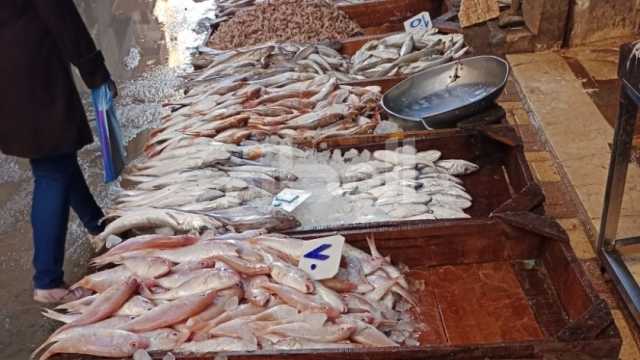 تاجر أسماك: تجار الجملة والقطاعي اضطروا لتخفيض الأسعار بسبب المقاطعة