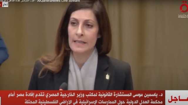 مصر أمام «العدل الدولية»: التاريخ سيحاسب العالم لصمته على احتلال فلسطين
