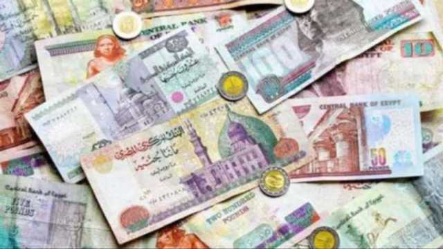 سعر الجنيه المصري مقابل عملات دول البريكس اليوم الأحد 28-1-2024