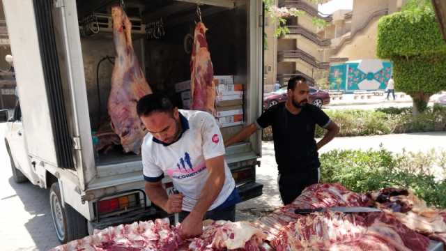 جامعة حلوان توفر منفذا لبيع اللحوم والدواجن بأسعار مخفضة للعاملين