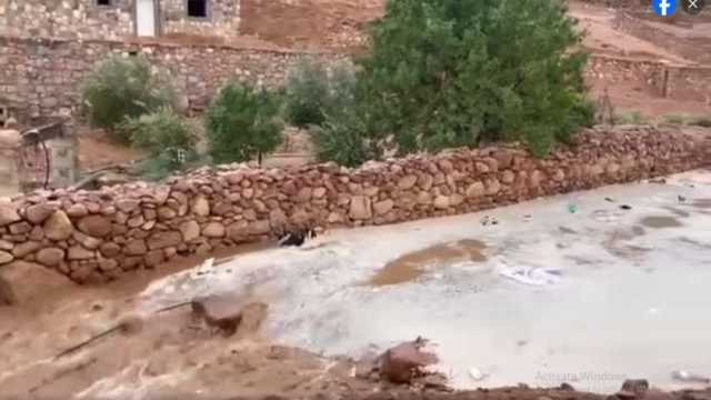 سقوط أمطار غزيرة على سانت كاترين.. المياه تجري في وديان سيناء (فيديو)