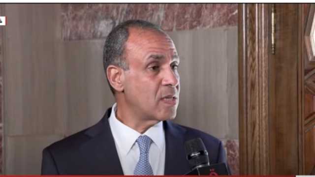 وزير الخارجية بعد أداء اليمين الدستورية: مصر ركيزة الاستقرار في المنطقة 
