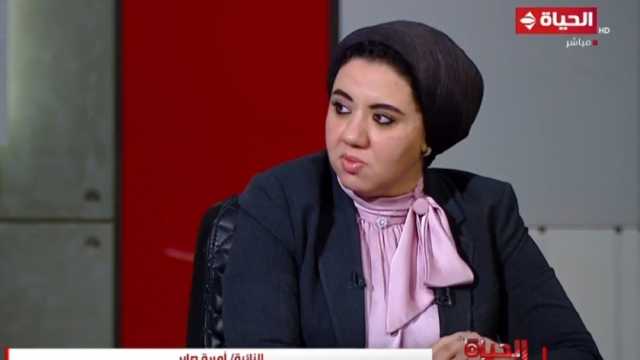 النائبة أميرة صابر: دروس عديدة نستقيها من صمود الشعب الفلسطيني في وجه الاحتلال