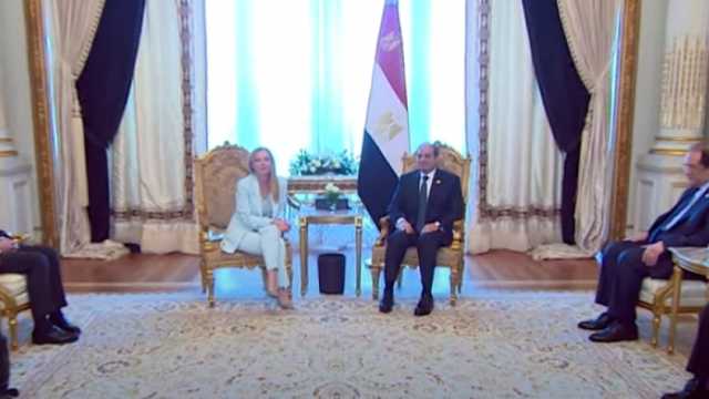 الرئيس السيسي يعقد عدة لقاءات على هامش قمة القاهرة للسلام