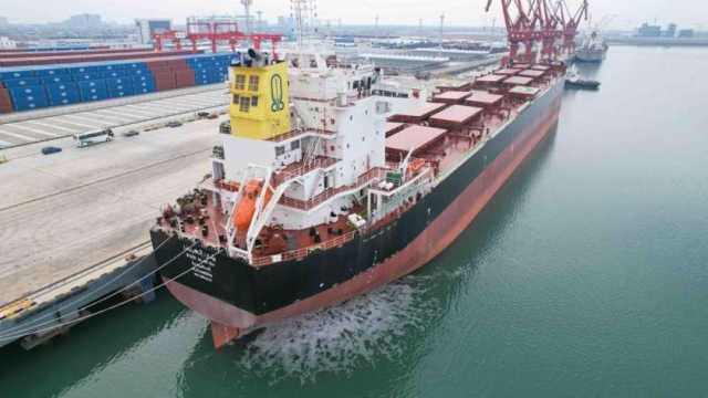 «النقل» تتسلم سفينة وادي العريش من ترسانة هانتونج الصينية.. حمولتها 82 ألف طن