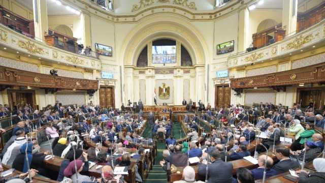 برلمانية: محطة الضبعة انعكاس صريح لقوة العلاقات بين مصر وروسيا