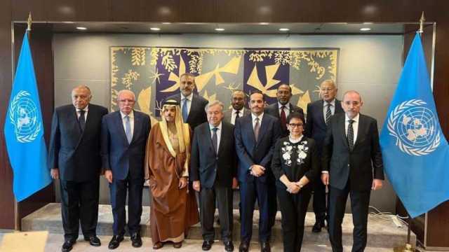 «شكري» وأعضاء اللجنة العربية يلتقون أمين عام الأمم المتحدة لبحث وقف حرب غزة