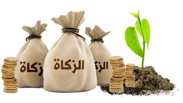 دار الإفتاء توضح حكم زكاة الأسهم ومن المطالب بإخراجها