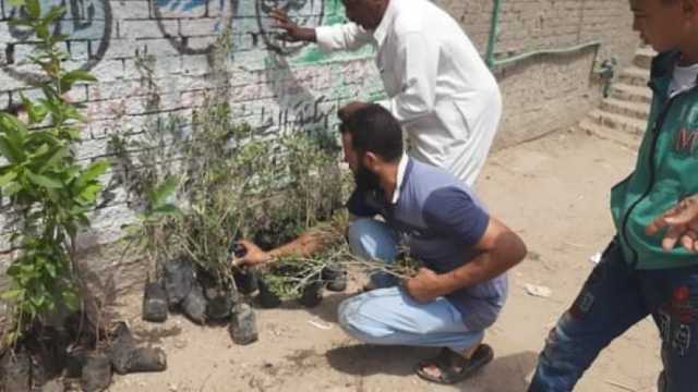 قافلة طبية وتوزيع أشجار على المواطنين بحي المنتزه في الإسكندرية