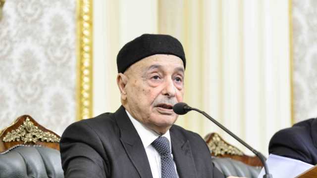 عقيلة صالح يلتقي رئيس المجلس الأعلى للدولة الليبي بالقاهرة