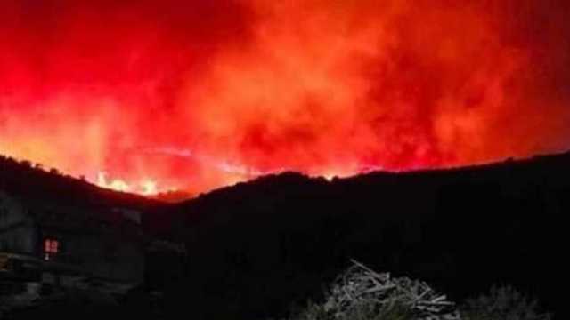 أزمة جديدة تضرب بلاد المغرب العربي.. القبض على مشتبه بحرائق الجزائر