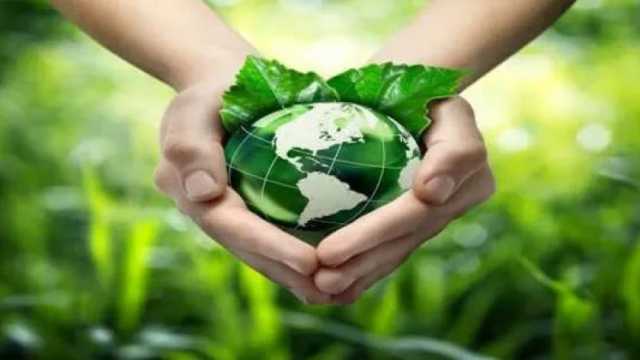 حزب البيئة العالمي: ننادي بتمويل مشروعات خضراء لمواجهة التغيرات المناخية
