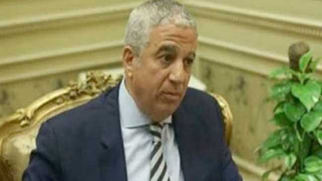 «خارجية النواب» تثمن دور مصر في عودة المساعدات إلى الفلسطينيين